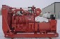 250 kw Cummins (Model GTA19, Open Frame, 2,149 Hours, Mfg. 1995) Natural Gas/LP Genset